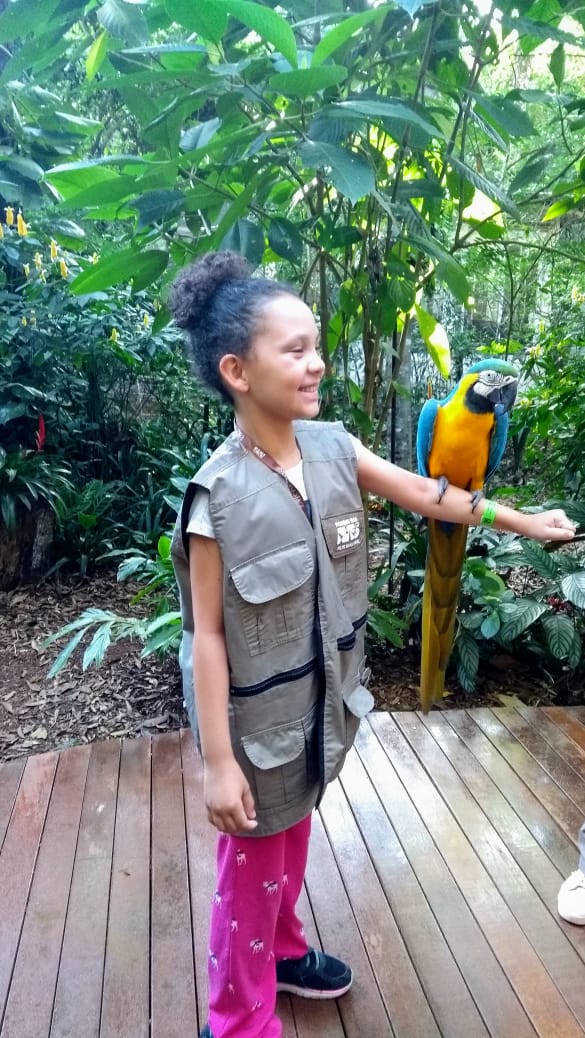parque das aves
