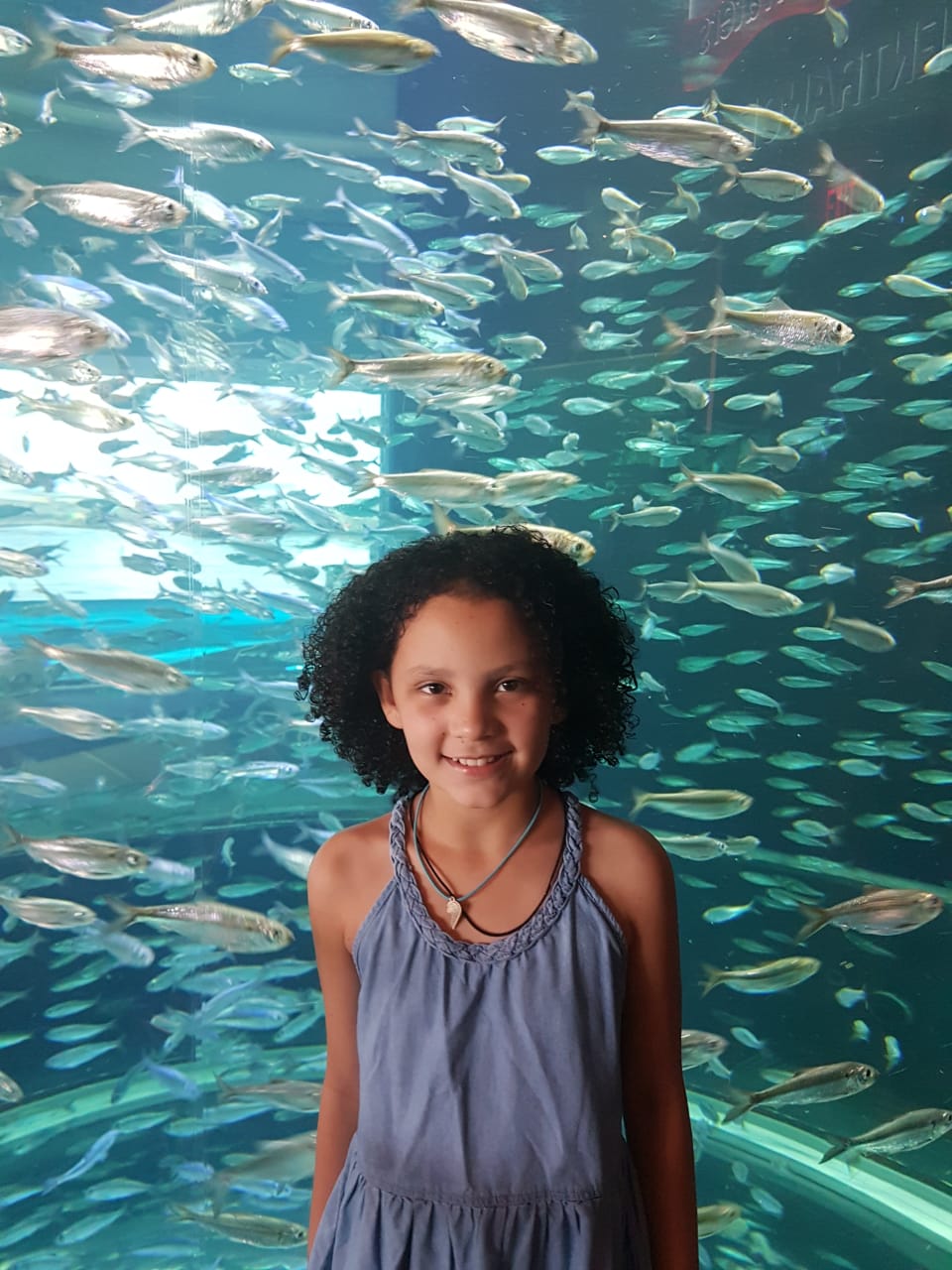 aquario