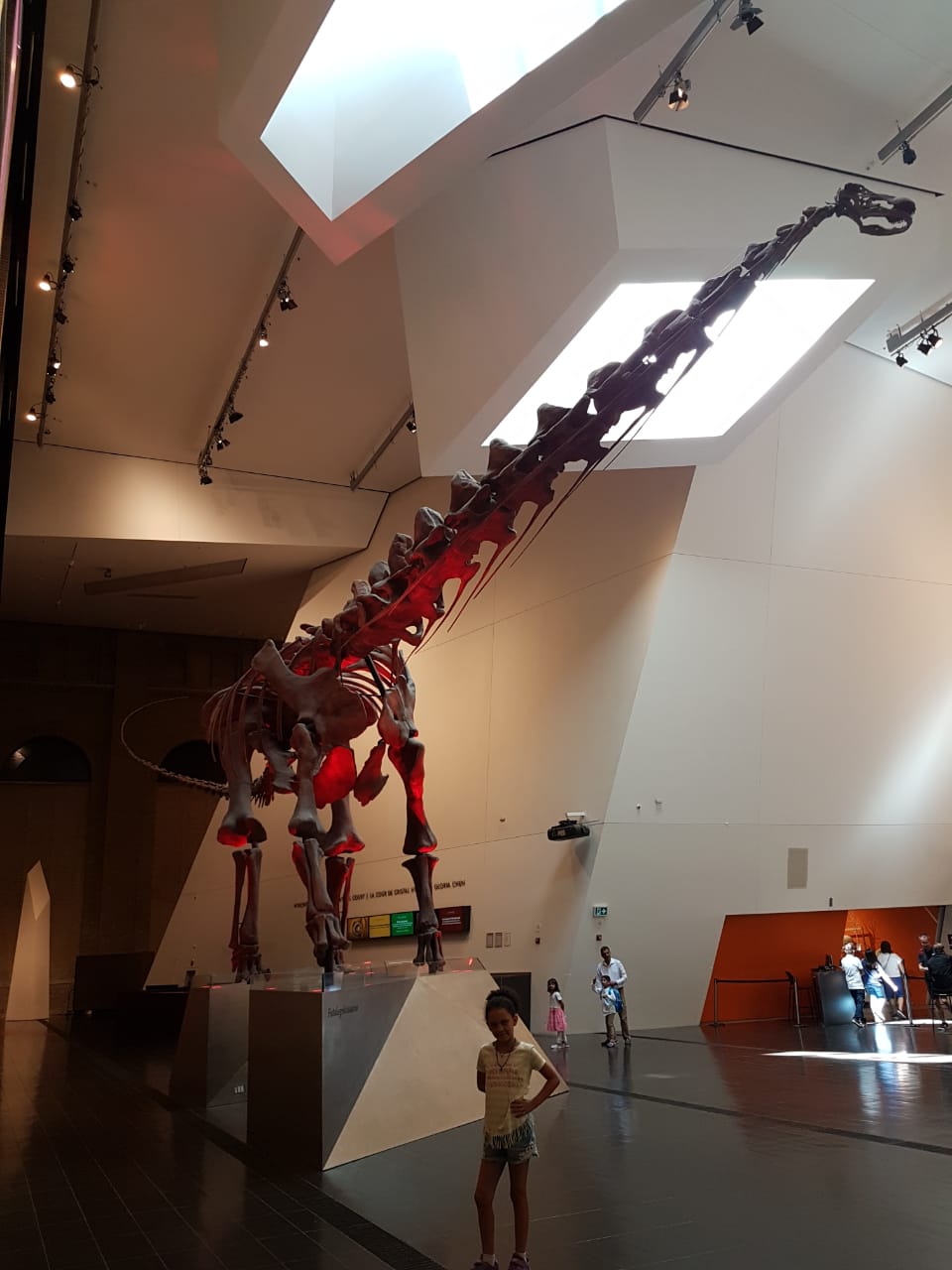Dino