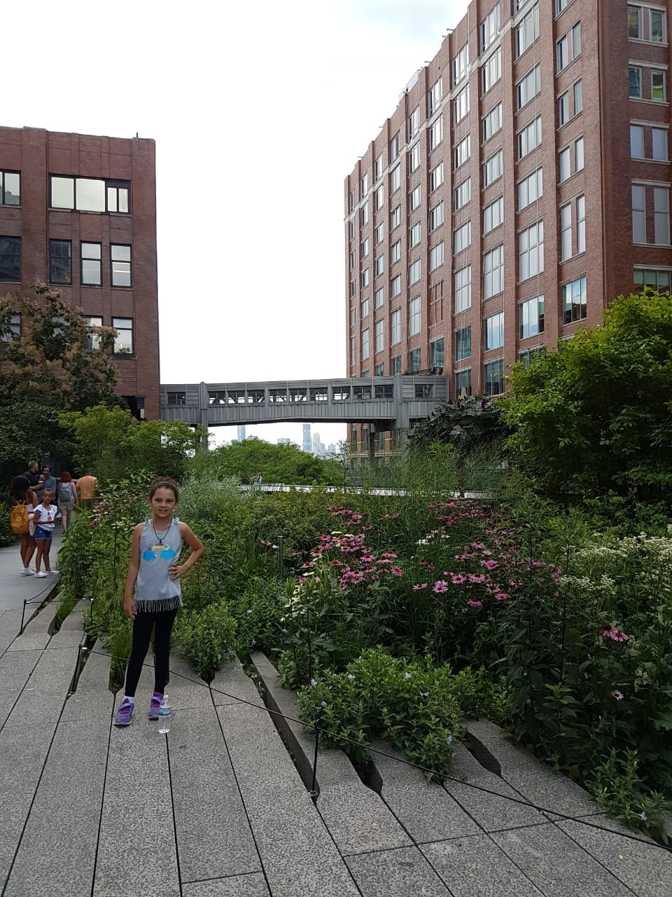 high line